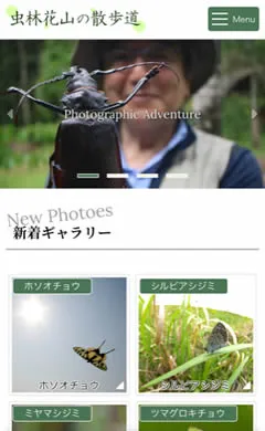 虫林花山の散歩道 スマートフォン表示